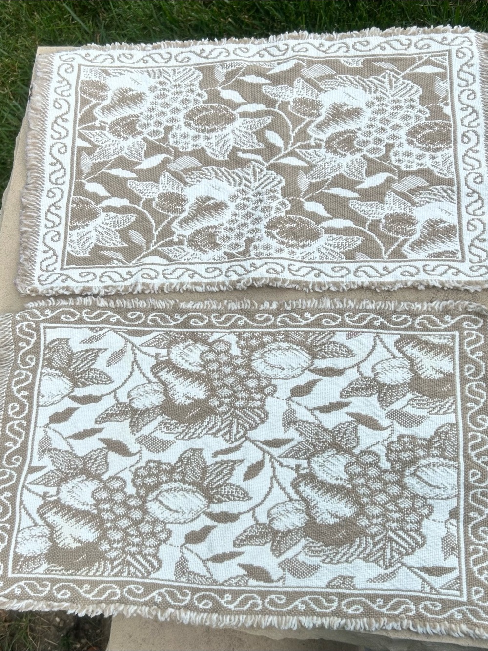 Set of 2 White and Tan Fruit Design Woven Cloth Placemats